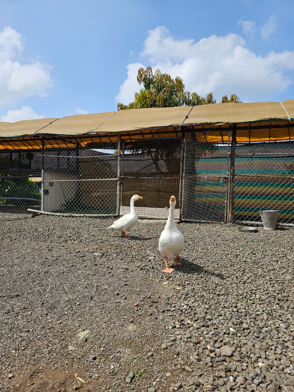 Amrai Agro Tourism | Best Rural Experience in Pune