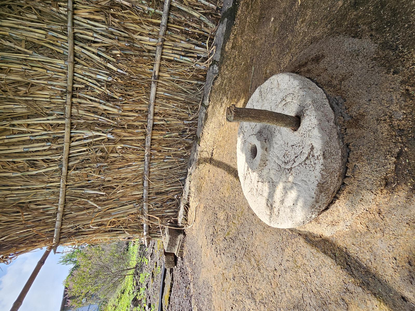 Experience of Rural Life